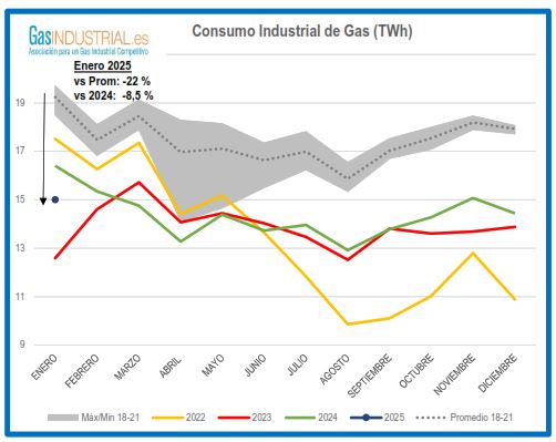 Consumo industrial de Gas Enero 2025
