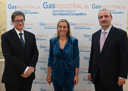 Asociados GasINDUSTRIAL