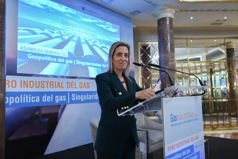 Verónica Rivière, presidenta de GasINDUSTRIAL